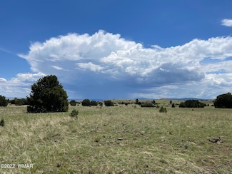 Tract 5 County Road N1334, Greer, AZ 85927