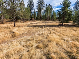 TBD Hatter Creek, Princeton, ID 83857