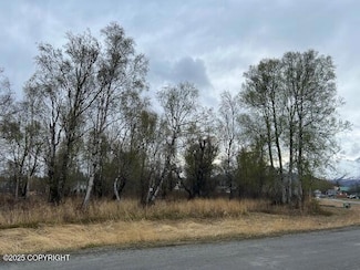 785 W Montana Dr, Palmer, AK 99645