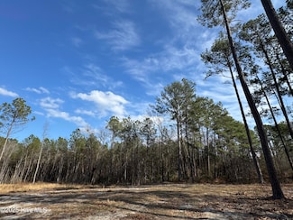 979 Aiken Rd, Vass, NC 28394
