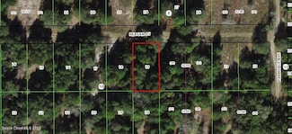 2309 Reagan St, Inverness, FL 34453