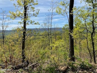 Lot 6 Polecat Hollow Rd, Yellow Creek, PA 16650