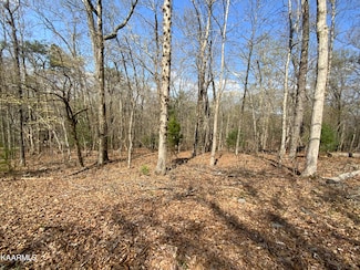 0 Rendezvous Road Lot #22 Unit 1225744, Rockwood, TN 37854