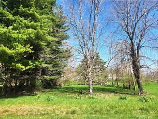 Lot 314/315 Elm Tree Dr, Roberts Township, IL 61375