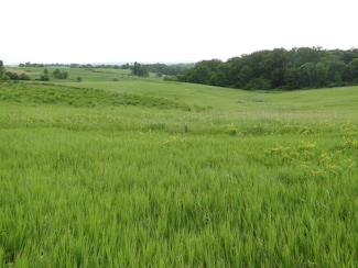 L2 Hwy 78, York, WI 53516