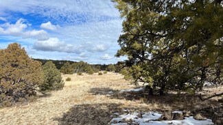 0 Phase 4 Lot 5 Wildhorse Subd Unit 1077305, Pie Town, NM 87827