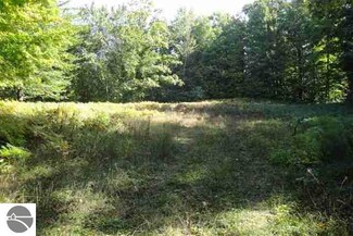 0000 S Cate Rd, Cedar, MI 49621