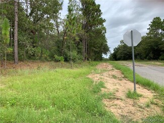 73 N Rooks Ave, Inverness, FL 34453