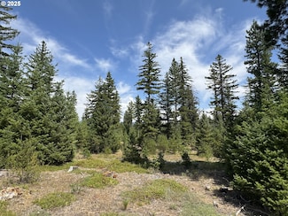 00 Ranger Rd, Goldendale, WA 98620