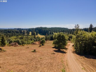 0 NW 389th St Unit 22160123, La Center, WA 98629