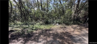 4360 E Trail X, Inverness, FL 34452