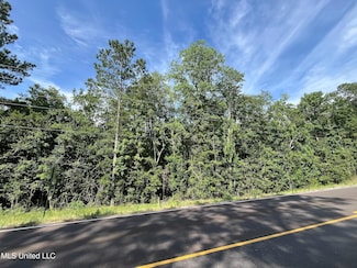 0 Hwy 63 N Unit 4117475, Leakesville, MS 39451