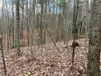 Lot 10 Fisher Valley Rd, Dobson, NC 27017