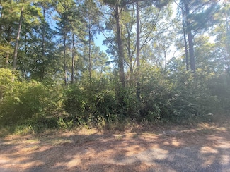 30 Jeffrey St, Huntsville, TX 77320