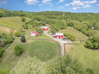 2196 Stevens Branch Rd, Alexandria, KY 41001