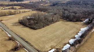 VL Kellogg Hill Rd, South Dayton, NY 14138
