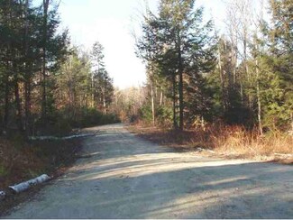 0 Cole Pond Rd Unit 2 4708663, Jamaica, VT 05343