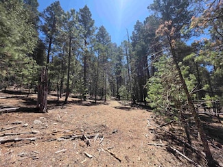 239 Dry Canyon Rd, Cloudcroft, NM 88317