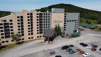 2303 Silver Creek, Snowshoe, WV 26209