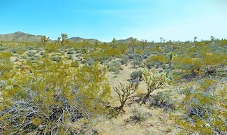 21330 N Cyclopic, White Hills, AZ 86445