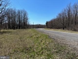 0 Spruce Ridge Lot 21 Unit WVGT2000548, Mount Storm, WV 26739