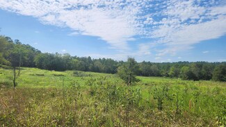 TBD Yonder Tree Ln, Story, AR 71970