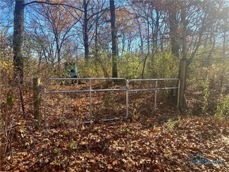 1127 S Schwamberger Rd, Swanton, OH 43558