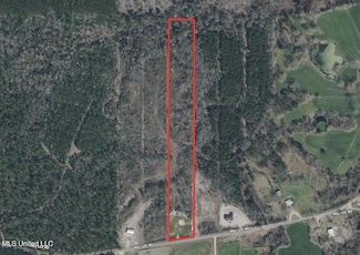 0 Will Lee Rd, Lumberton, MS 39455