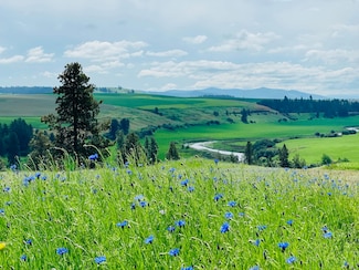 11900 E Hays Rd Unit Lot A - Parcel 9030, Spangle, WA 99031