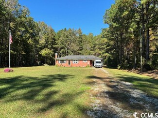 316 Tomahawk St, Hemingway, SC 29554