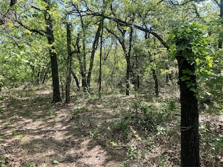 TBD Griffin St Griffin St, Sanctuary, TX 76020