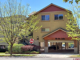 315 E 8th Ave Unit 201,  Also Unit 1, Durango, CO 81301