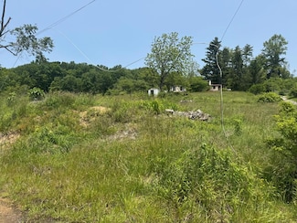 0 Presbyterian Ave, Lashmeet, WV 24733