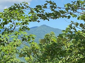 1621 Granny Squirrel Dr, Andrews, NC 28906