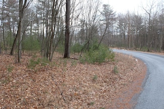 0 Longhorn Rd Unit LotWP013 23134118, Union Township, PA 16652