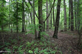 Lot 43 Cottonwood Dr, Blounts Creek, NC 27814