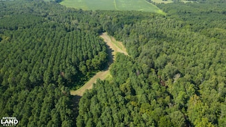 0 Highway 8 E, Houston, MS 38851
