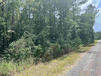 262249 Whitehouse Fork Rd, Bay Minette, AL 36507