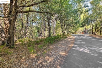 23744 Elizabeth Peak Rd, Twain Harte, CA 95383