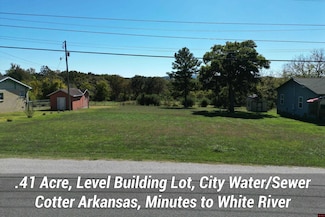 240 Walnut Hill Ln, Cotter, AR 72626