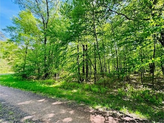 LOT 15 Paradise Rd, Todd Township, PA 16657