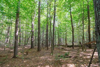 0 Densmore Rd, Cavendish, VT 05142