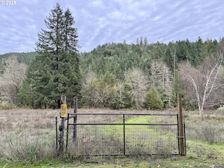 505 Sibold Canyon Rd, Tenmile, OR 97481