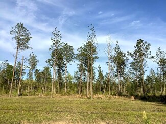 0 Sandy Loop Tract 2 Unit 26-5074, Merryville, LA 70653