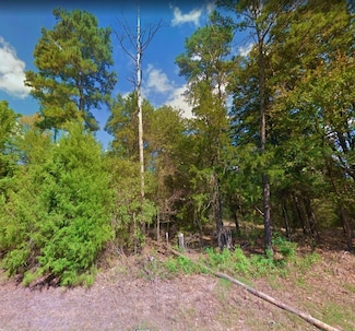 0 Wolf Creek Dr, Fritch, TX 79036