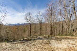 99999 Wolf Pen Rd Unit 971, Old Fort, NC 28762
