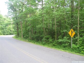 0 Silver Spur Rd Unit 91917, Cairo, NY 12413