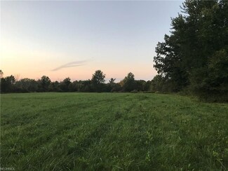9769 Spencer Lake Rd, Spencer, OH 44275