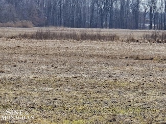 V/L Springborn Rd, Casco, MI 48064