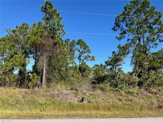 0 54th Ave NE Unit 225080151, Naples, FL 34120